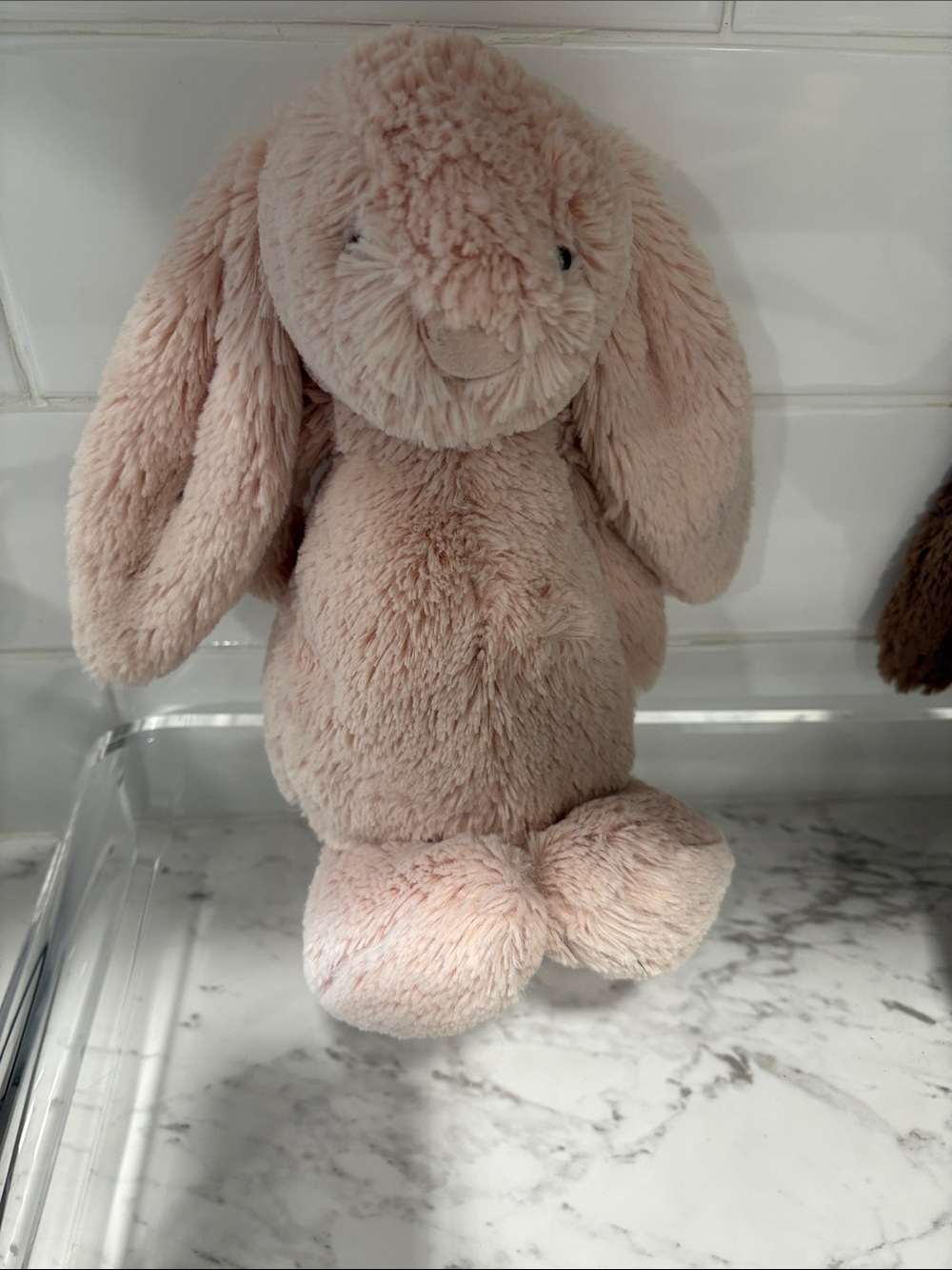 Jellycat Bashful Bunny